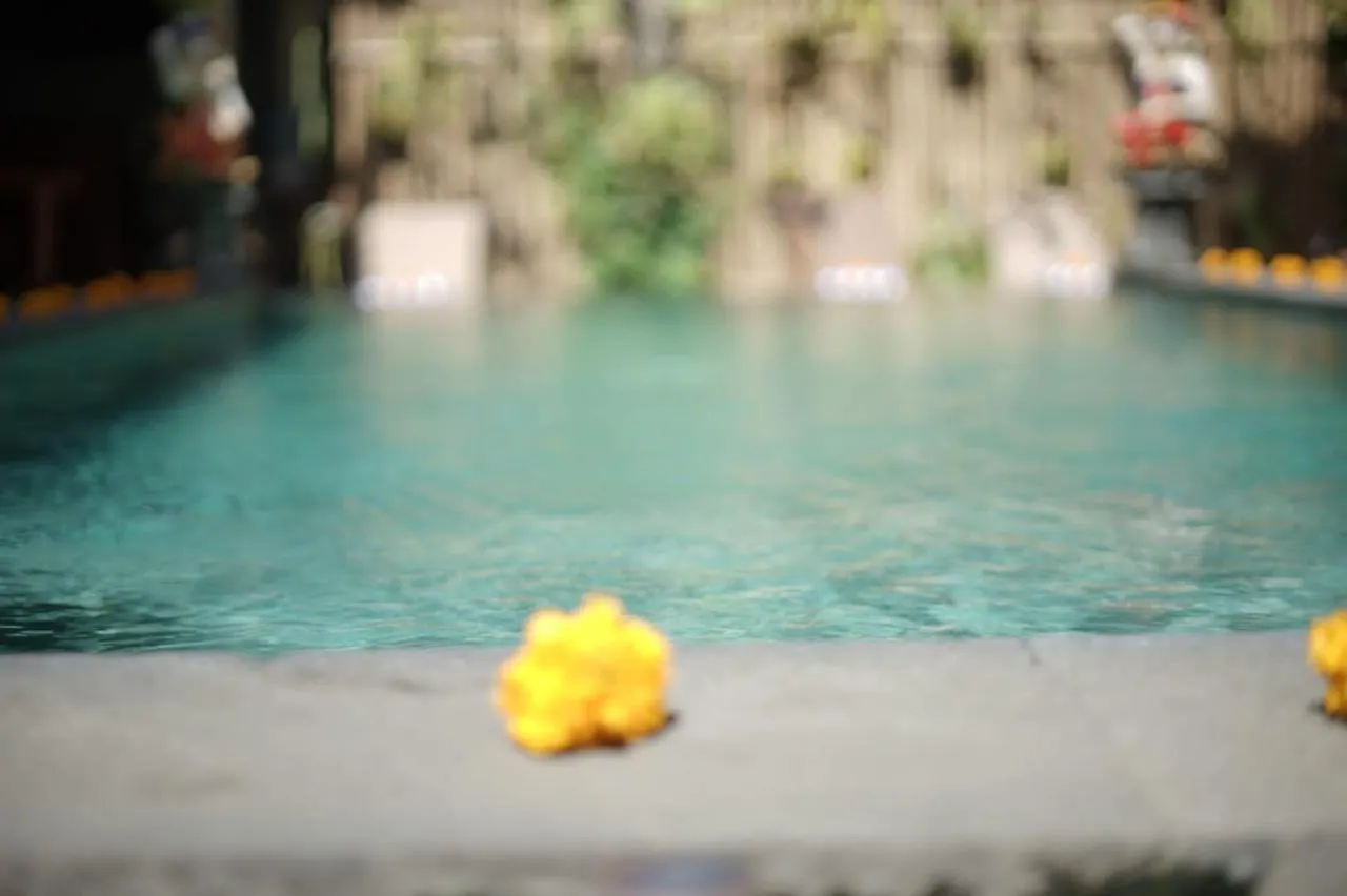 Teba Junjungan Cottages Ubud Frühstückspension